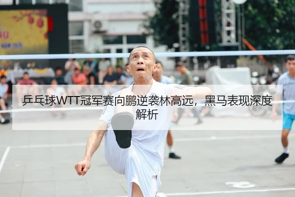 乒乓球WTT冠军赛向鹏逆袭林高远，黑马表现深度解析
