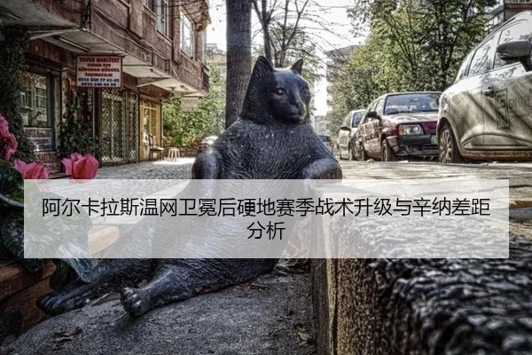 a-er-ka-la-si-wen-wang-wei-mian-hou-ying-di-sai-ji-zhan-shu-sheng-ji-yu-xin-na-cha-ju-fen-xi-3-329.jpg
